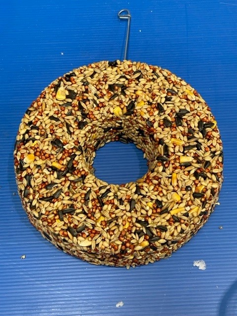 Small Parrot Seed Ring Small Parrot Seed Ring